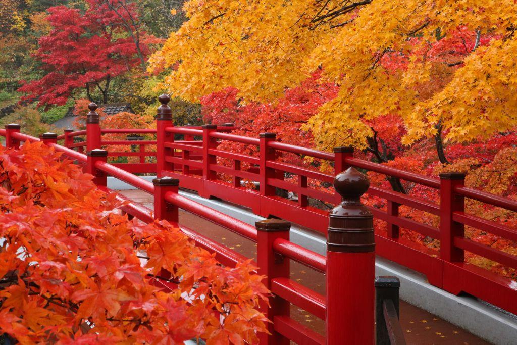 NGÀY 6: NIIGATA HƯƠNG VỊ NHẬT BẢN ĐÍCH THỰC